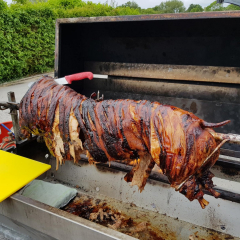 294253671_463786225754963_2442861202040405891_n