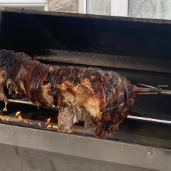 295434481_463785999088319_7290669628822645060_n