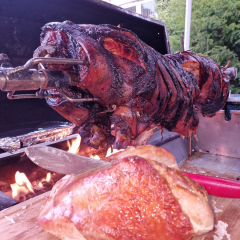 313179550_545230187610566_5543861782838867829_n