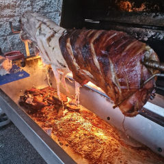 342050928_772511704281056_1035103270954894033_n